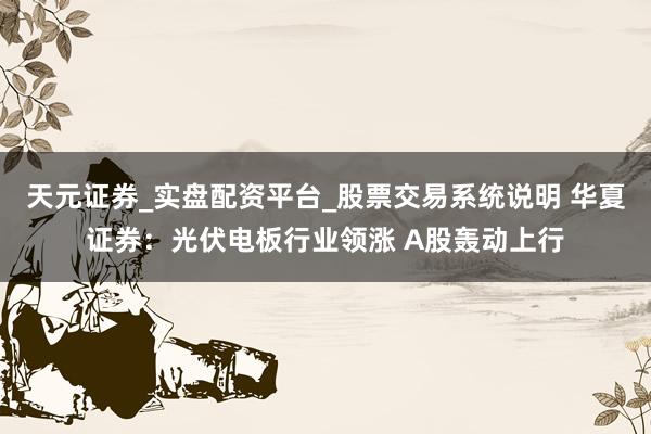 天元证券_实盘配资平台_股票交易系统说明 华夏证券：光伏电板行业领涨 A股轰动上行