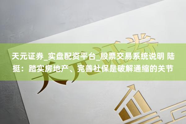 天元证券_实盘配资平台_股票交易系统说明 陆挺：踏实房地产、完善社保是破解通缩的关节