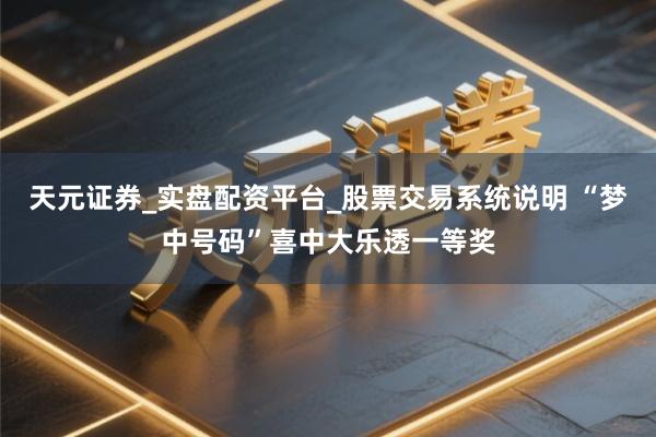 天元证券_实盘配资平台_股票交易系统说明 “梦中号码”喜中大乐透一等奖