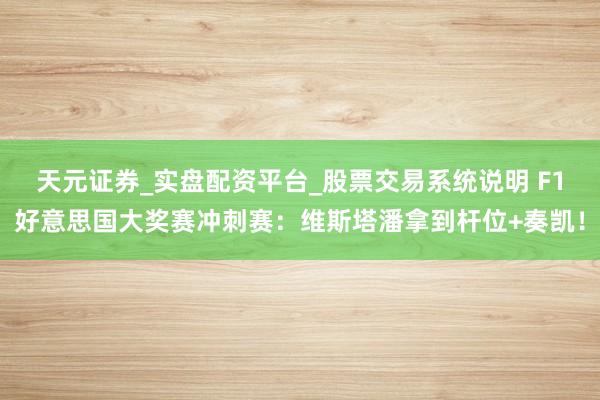 天元证券_实盘配资平台_股票交易系统说明 F1好意思国大奖赛冲刺赛：维斯塔潘拿到杆位+奏凯！